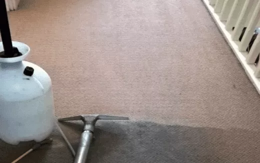 bayswater-carpet-cleaning
