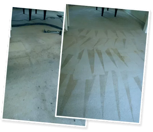 carpet-cleaning-camden