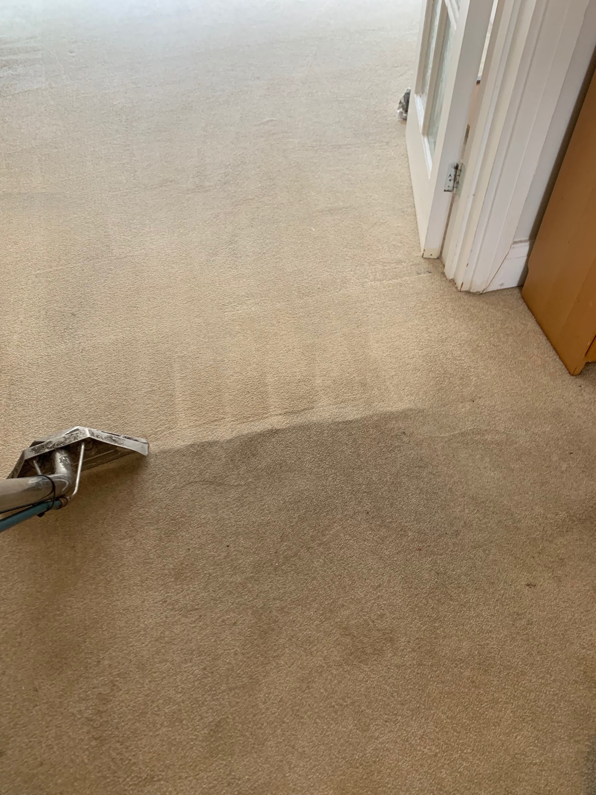 carpet-cleaning-in-pimlico