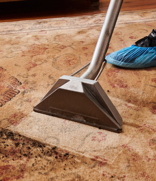 Commercial and residential carpet cleaning in South London